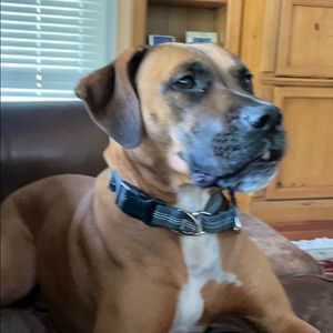 Meet your Posher, Kathryn